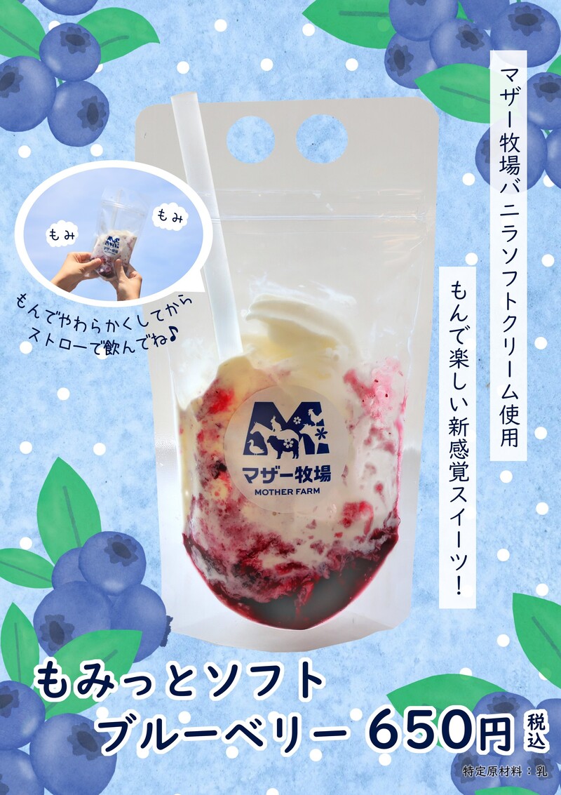 もみっとソフト　ブルーベリー