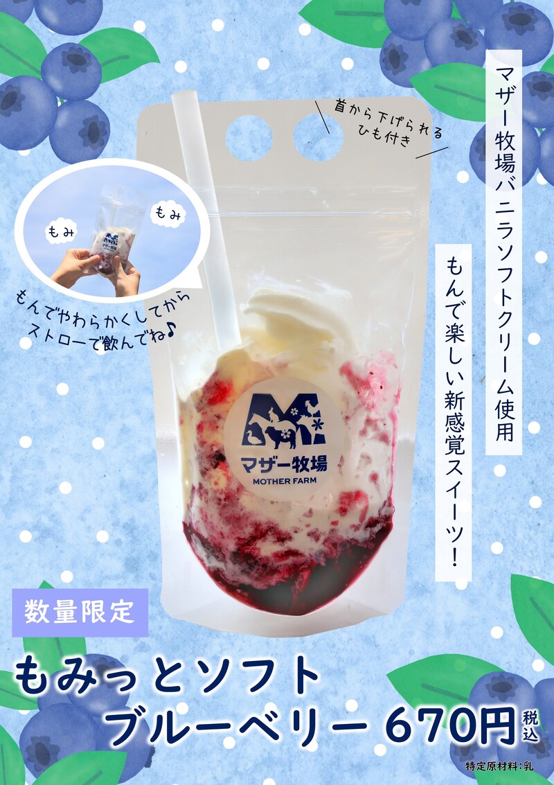 もみっとソフト　ブルーベリー