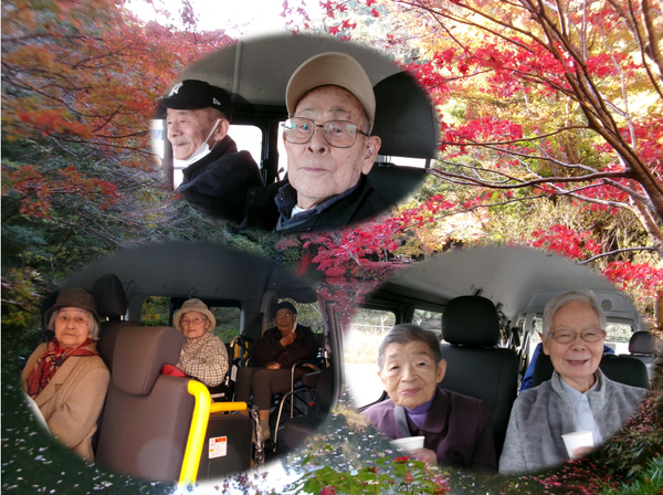 紅葉ドライブ🍁