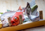 【夏プラン】しずまえ鮮魚を愉しむ!ライブお造りの無庵会席