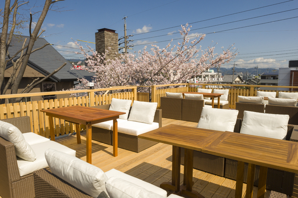 いよいよ開放します 期間限定 お花見 さくら酒 で乾杯 春菜皿鉢の夜桜特等席プラン のご紹介 お知らせ 茄兵衛 Nasubi Group