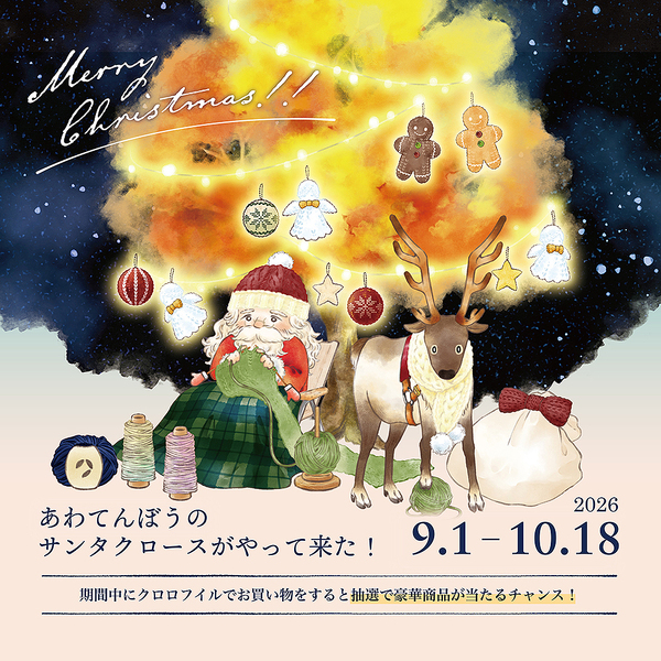 あわてんぼうのサンタクロースがやって来た！