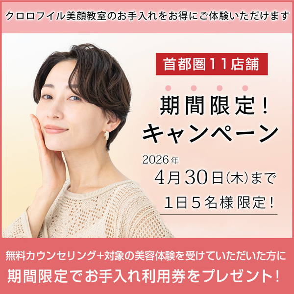 期間限定キャンペーンのご案内