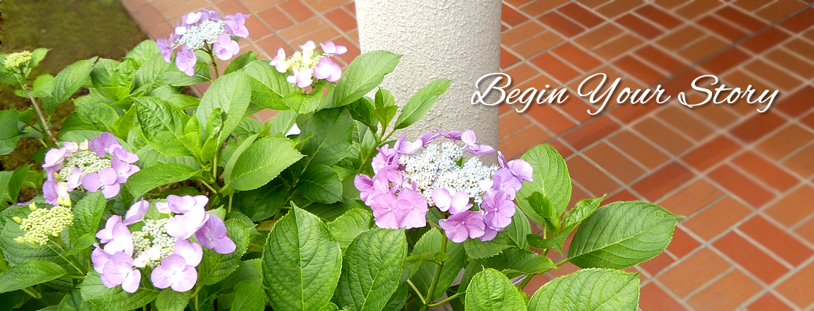 Begin Your Story 202306