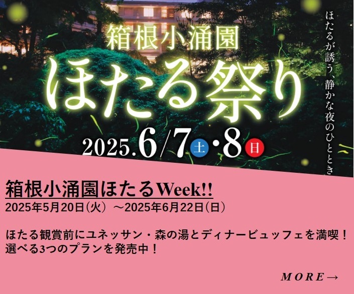 【発売中！】ほたるディナービュッフェとユネッサンのセットプランが登場！