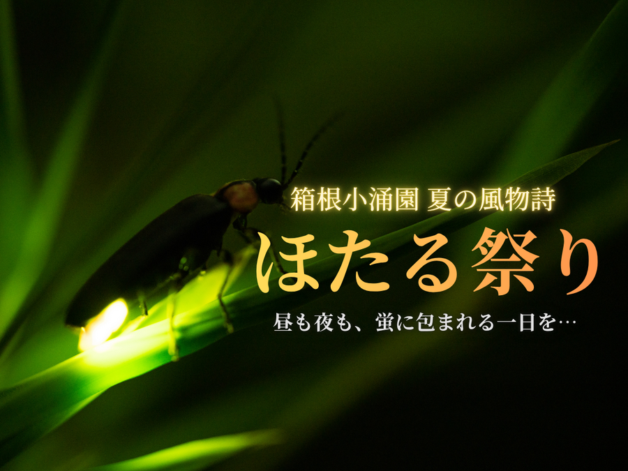 ★イベント情報★箱根小涌園「ほたる祭り」開催！