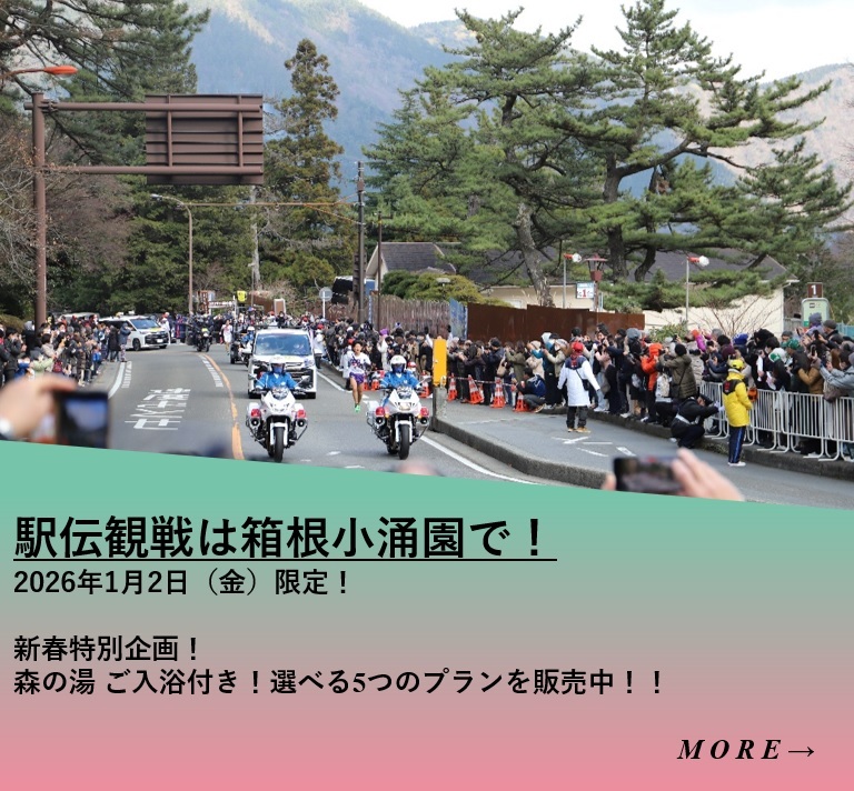 【好評発売中！】新春駅伝観戦プラン2026
