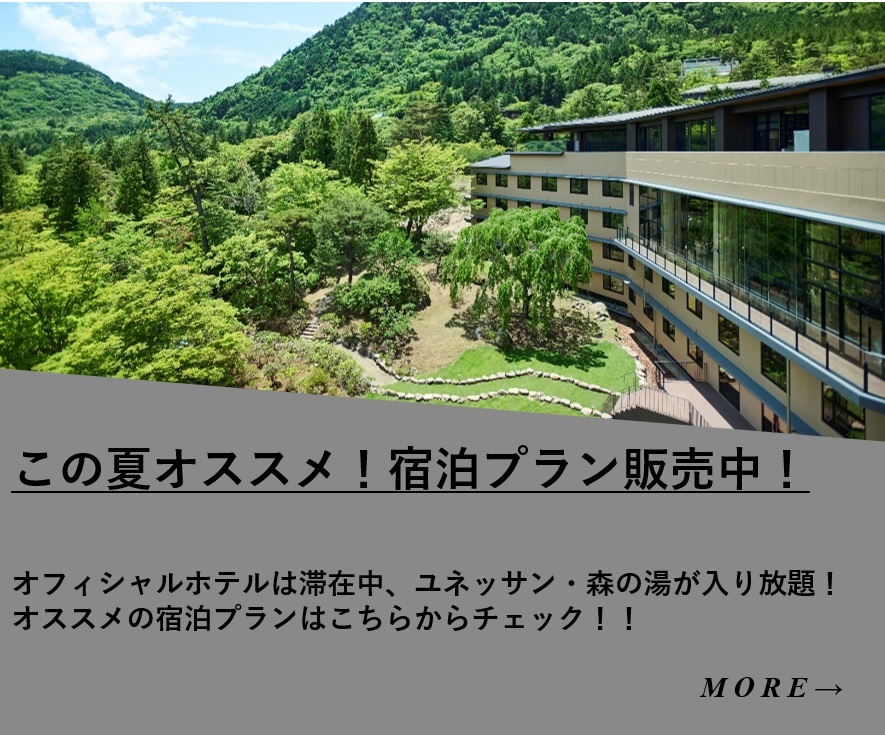 【お見逃しなく！】この夏オススメ！おトクな宿泊プランを販売中！！